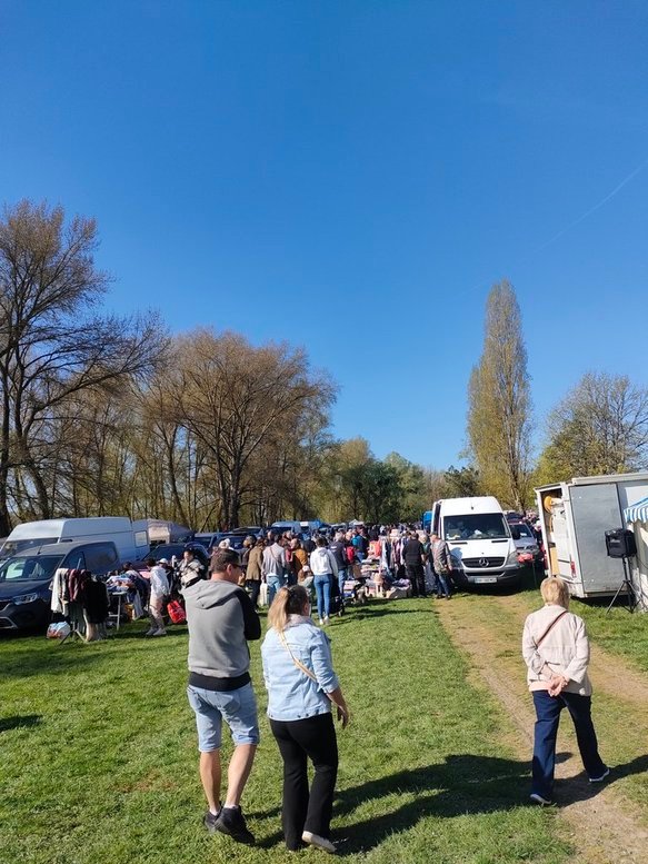 dwj9dZZ-SzqhbnCqcz9FWQ